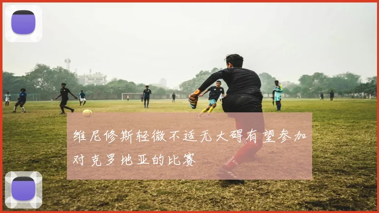 维尼修斯轻微不适无大碍有望参加对克罗地亚的比赛