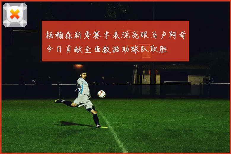 杨瀚森新秀赛季表现亮眼马卢阿奇今日贡献全面数据助球队取胜