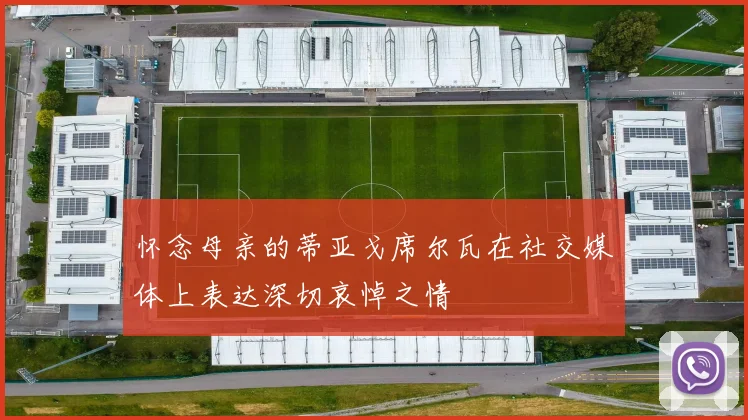 怀念母亲的蒂亚戈席尔瓦在社交媒体上表达深切哀悼之情
