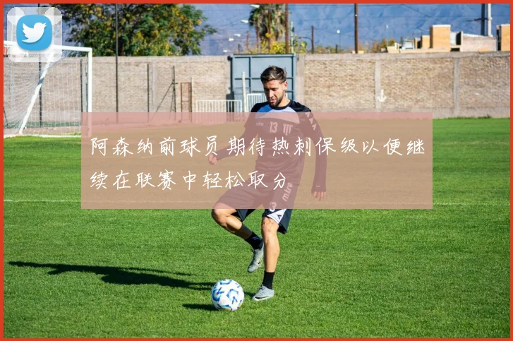 阿森纳前球员期待热刺保级以便继续在联赛中轻松取分