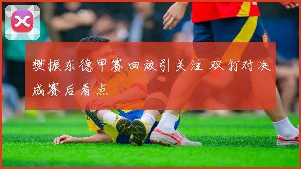 樊振东德甲赛回放引关注 双打对决成赛后看点