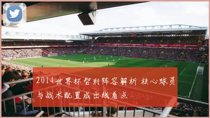 2014世界杯智利阵容解析 核心球员与战术配置成出线看点