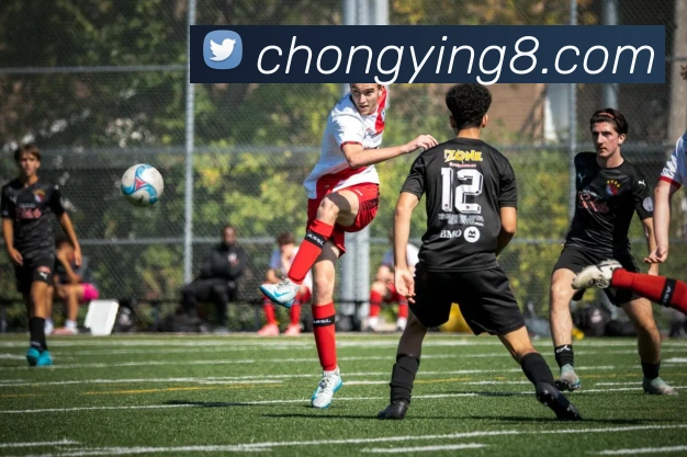 星空网页版在线登录APP 封面图